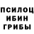 Галлюциногенные грибы Cubensis a3mat