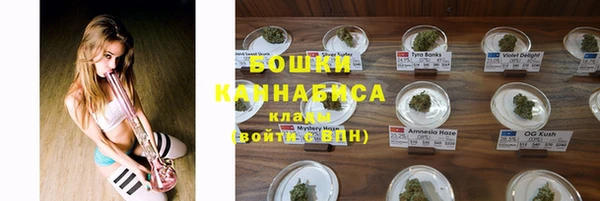 ПСИЛОЦИБИНОВЫЕ ГРИБЫ Богородск