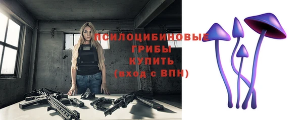 тгк Бронницы