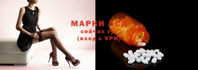 стаф Бугульма
