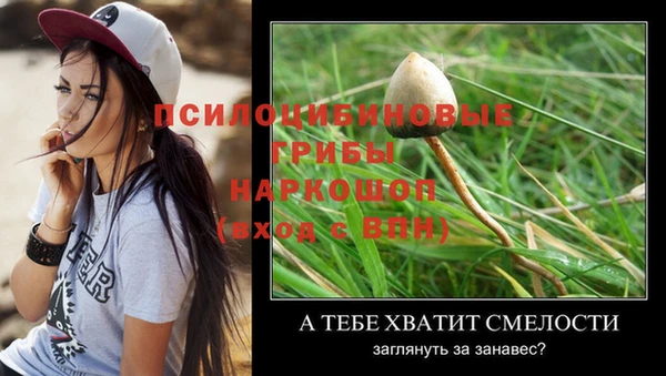 тгк Бронницы