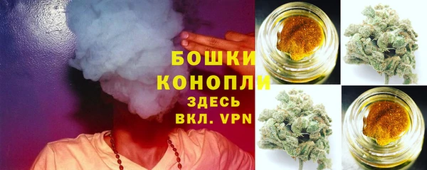 тгк Бронницы